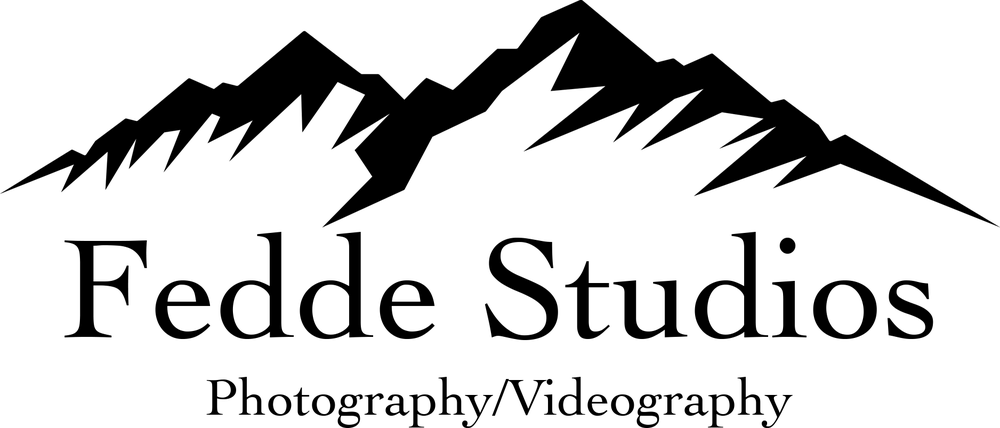 Fedde Studios logo