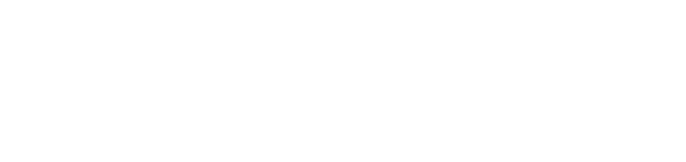 Mr Boats logo