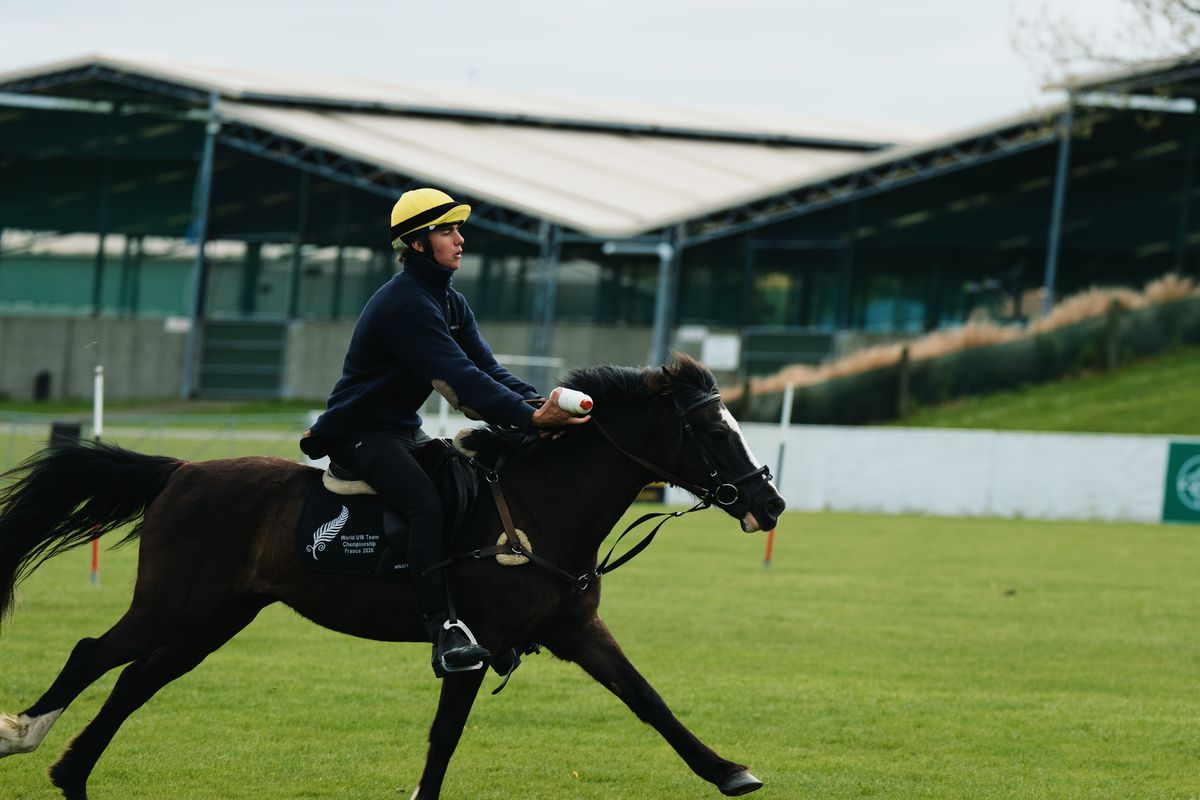 Mounted Games in the arena