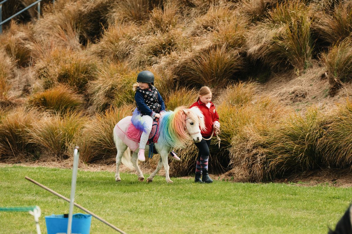 Pony rides