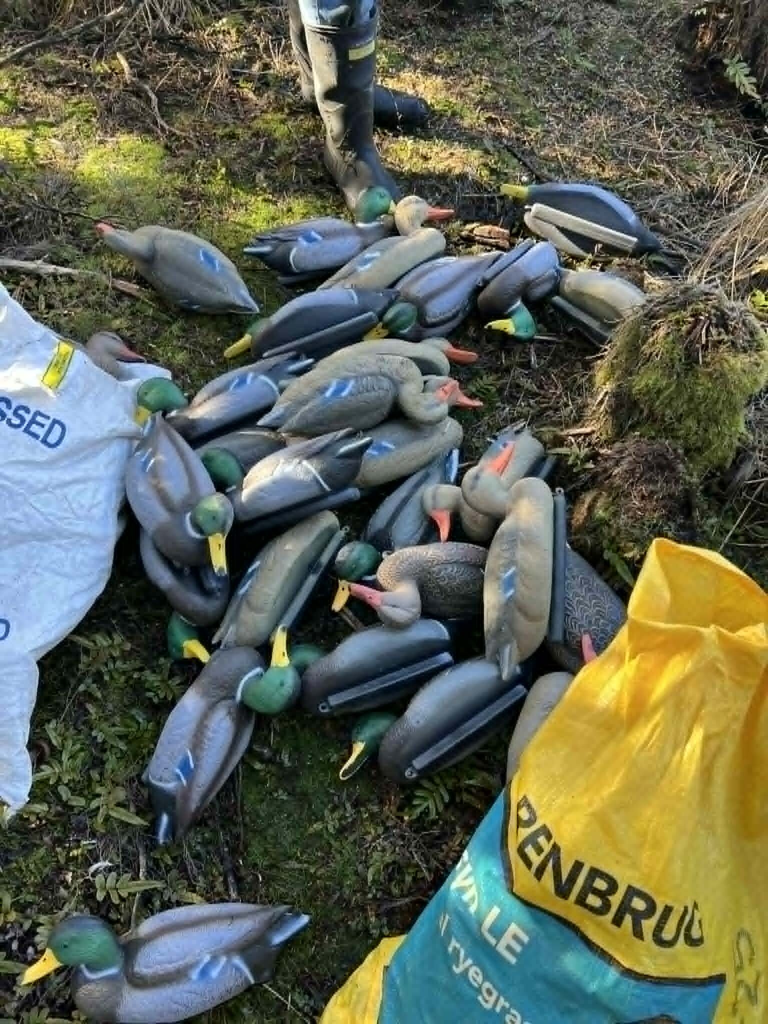 Decoy ducks piled on the ground ready to be set up on the water for a New Zealand duck hunting morning