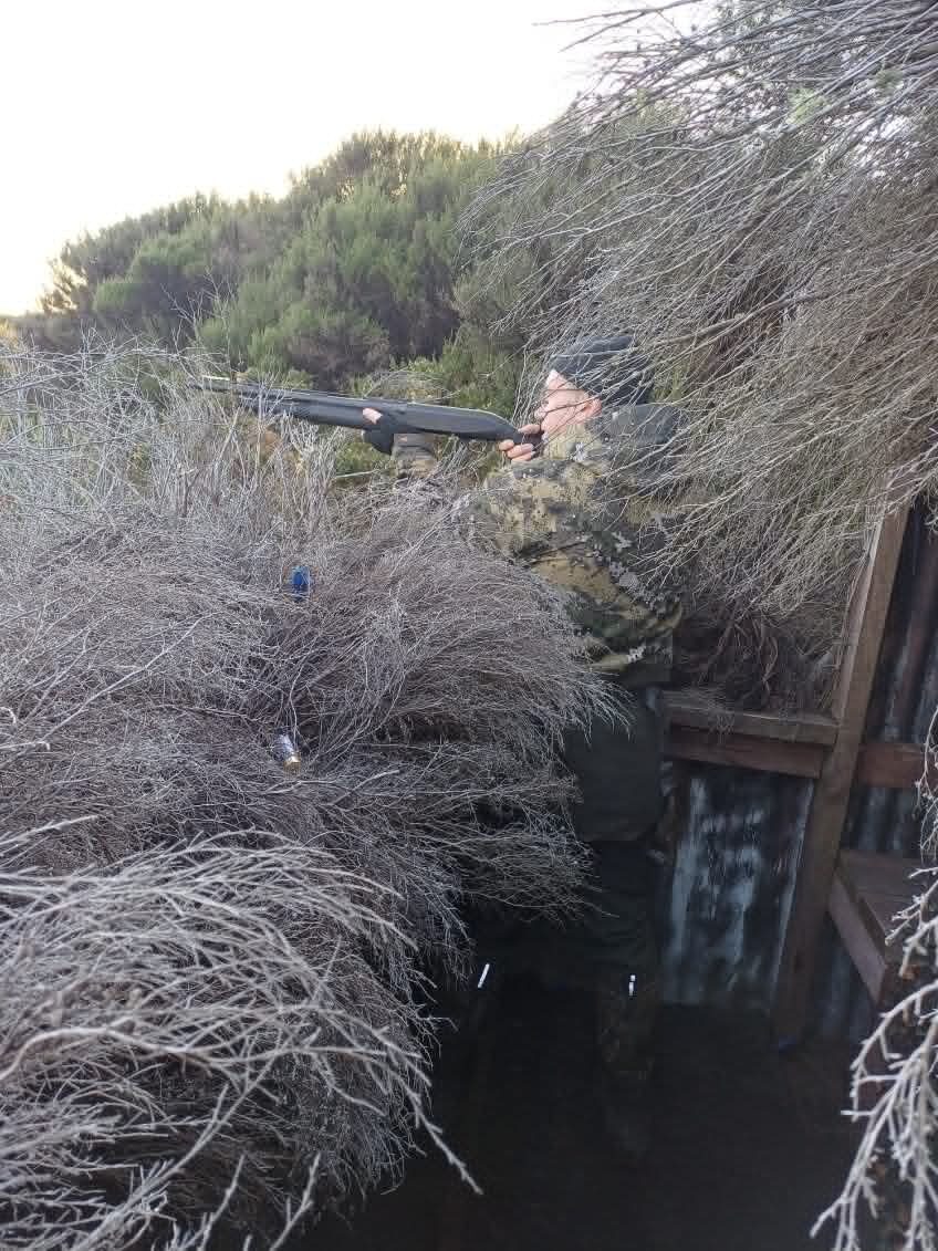 Outdoor Expo's Marc aiming his shotgun from inside a maimai during New Zealand duck season